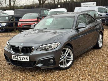BMW 218 2.0 218d M Sport Euro 6 (s/s) 2dr