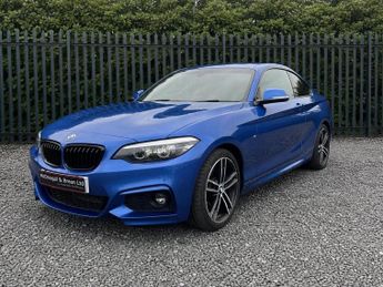 BMW 220 2.0 220d M Sport Euro 6 (s/s) 2dr