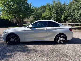 BMW 2 Series 2.0 218d M Sport Auto Euro 6 (s/s) 2dr