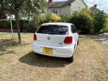 VOLKSWAGEN POLO Blue Motion 