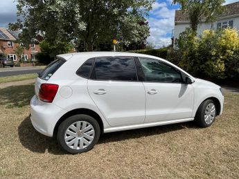 VOLKSWAGEN POLO Blue Motion 