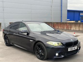 BMW 5 Series 2.0 520d M Sport Auto Euro 6 (s/s) 4dr