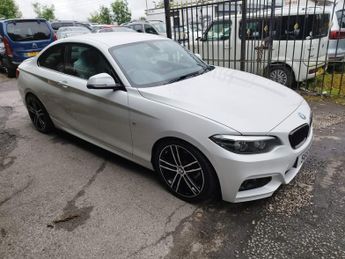 BMW 218 2.0 218d M Sport Auto Euro 6 (s/s) 2dr