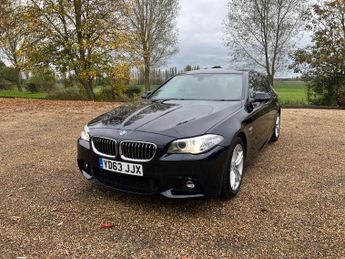 BMW 520 2.0 520d M Sport Auto Euro 6 (s/s) 4dr