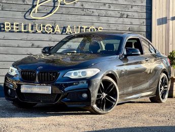 BMW 218 2.0 218d M Sport Euro 6 (s/s) 2dr