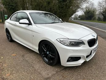 BMW 220 2.0 220i M Sport Euro 6 (s/s) 2dr