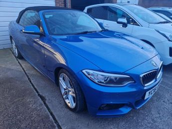 BMW 218 1.5 218i M Sport Euro 6 (s/s) 2dr