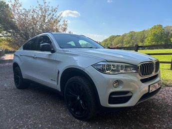 BMW X6 3.0 40d SE Auto xDrive Euro 6 (s/s) 5dr