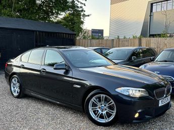 BMW 530 3.0 530d M Sport Auto Euro 5 (s/s) 4dr