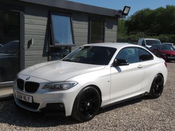BMW 220 2.0 220d M Sport Euro 6 (s/s) 2dr