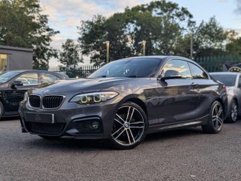 BMW 2 Series 2.0 218d M Sport Auto Euro 6 (s/s) 2dr