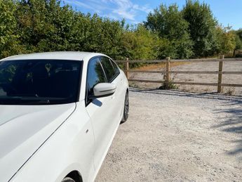 BMW 3 Series 2.0 320i M Sport Auto Euro 6 (s/s) 4dr