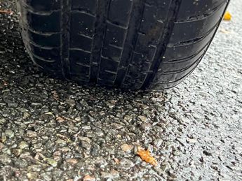 SEAT Ibiza 1.2 TSI SE ST DSG Euro 5 5dr