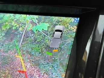 Ford Ranger 2.0 EcoBlue Wildtrak Auto 4WD Euro 6 (s/s) 4dr