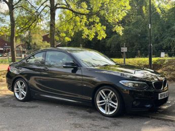 BMW 218 2.0 218d M Sport Euro 6 (s/s) 2dr
