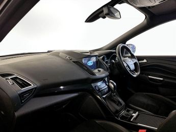 Ford Kuga 1.5T EcoBoost ST-Line Auto AWD Euro 6 (s/s) 5dr