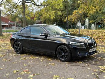 BMW 218 2.0 218d Sport Auto Euro 6 (s/s) 2dr