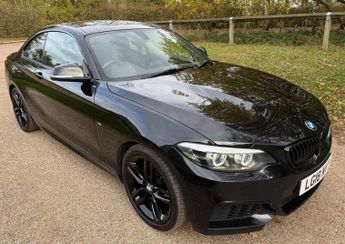 BMW 218 1.5 218i M Sport Auto Euro 6 (s/s) 2dr
