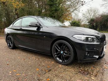 BMW 218 2.0 218d M Sport Auto Euro 6 (s/s) 2dr