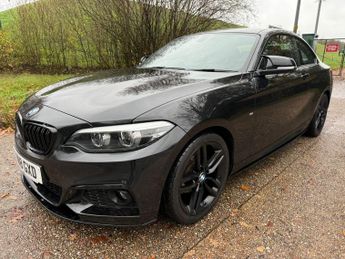 BMW 2 Series 2.0 218d M Sport Auto Euro 6 (s/s) 2dr