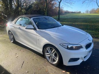 BMW 220 2.0 220d M Sport Euro 6 (s/s) 2dr