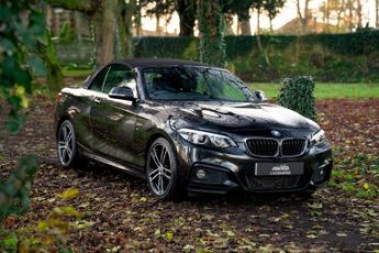 BMW 2 Series 2.0 220d M Sport Auto Euro 6 (s/s) 2dr