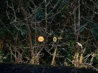 BMW 4 Series 2.0 420i M Sport Pro Edition Auto Euro 6 (s/s) 2dr