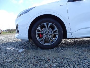 Ford Kuga 2.5h Duratec ST-Line Edition CVT Euro 6 (s/s) 5dr