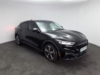 Ford Mustang SEL STD RNG RWD