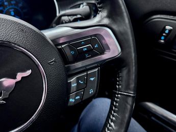 Ford Mustang Mustang Mach 1 Fastback 5.0L V8 RWD 10 Speed Automatic