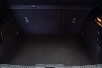 Ford Focus 1.5 EcoBlue ST-Line X Auto Euro 6 (s/s) 5dr