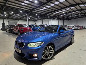 BMW 218 2.0 218d M Sport Auto Euro 6 (s/s) 2dr