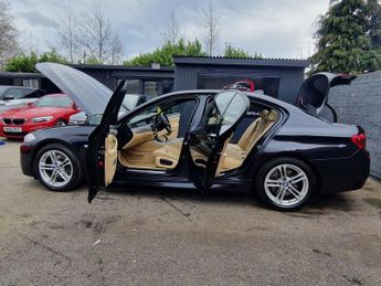 BMW 5 Series 3.0 530d M Sport Auto Euro 6 (s/s) 4dr
