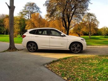 BMW X1 2.0 20d M Sport Auto xDrive Euro 6 (s/s) 5dr