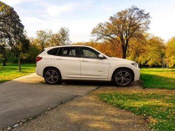 BMW X1 2.0 20d M Sport Auto xDrive Euro 6 (s/s) 5dr