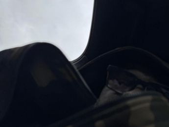 Ford Focus 1.5 EcoBlue ST-Line X Auto Euro 6 (s/s) 5dr