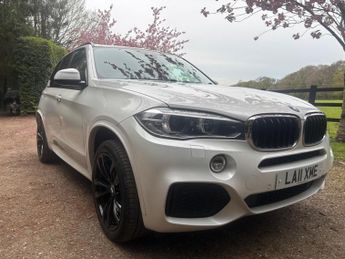 BMW X5 2.0 25d M Sport Auto xDrive Euro 6 (s/s) 5dr