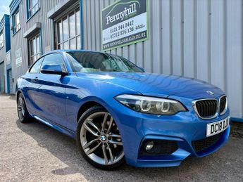 BMW 218 2.0 218d M Sport Auto Euro 6 (s/s) 2dr