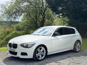 BMW 1 SERIES 2.0 118d M Sport Hatchback 5dr Diesel Auto Euro 5 (s/s) (143 ps)