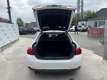 BMW 4 Series Gran Coupe 2.0 420d M Sport Auto Euro 6 (s/s) 5dr