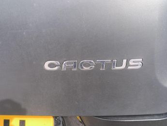 Citroen C4 Cactus 1.2 PureTech Flair Euro 6 (s/s) 5dr