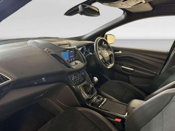 Ford Kuga 1.5T EcoBoost GPF ST-Line SUV 5dr Petrol Manual Euro 6 (s/s) (15