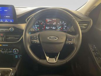 Ford Kuga 2.0 EcoBlue MHEV Titanium SUV 5dr Diesel Manual Euro 6 (s/s) (15