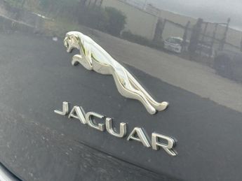 Jaguar XJ 3.0d V6 Autobiography Saloon 4dr Diesel Auto Euro 6 (s/s) (LWB) 