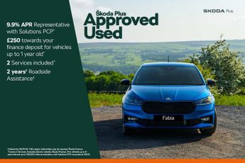 Skoda Fabia 1.0 TSI 116 Monte Carlo Edition 5dr DSG