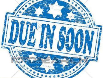Ford Focus 1.0T EcoBoost ST-Line Euro 6 (s/s) 5dr