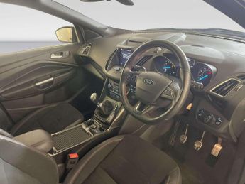 Ford Kuga 1.5T EcoBoost GPF ST-Line SUV 5dr Petrol Manual Euro 6 (s/s) (15