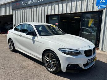 BMW 2 Series 2.0 218d M Sport Auto Euro 6 (s/s) 2dr