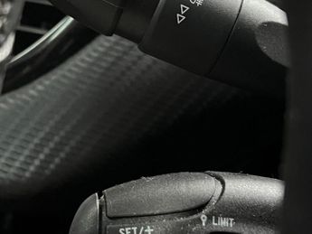 Peugeot 2008 1.6 VTi Feline Euro 5 5dr (Mistral)