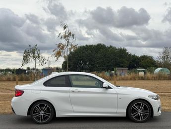 BMW 2 Series 2.0 220i GPF M Sport Auto Euro 6 (s/s) 2dr